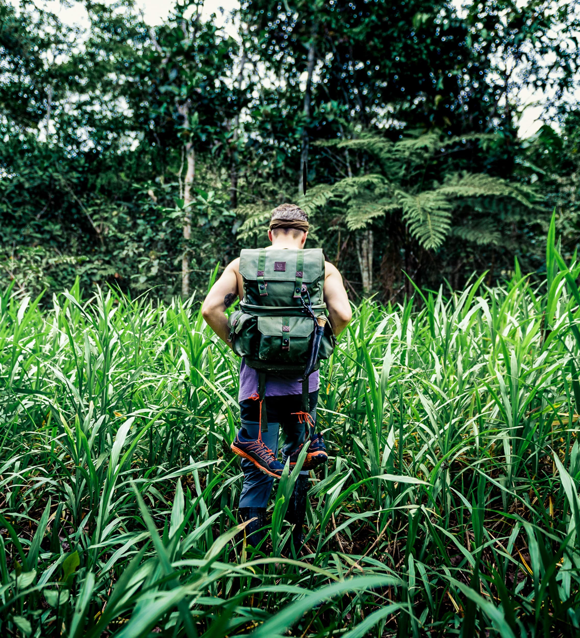 Amazon Rainforest